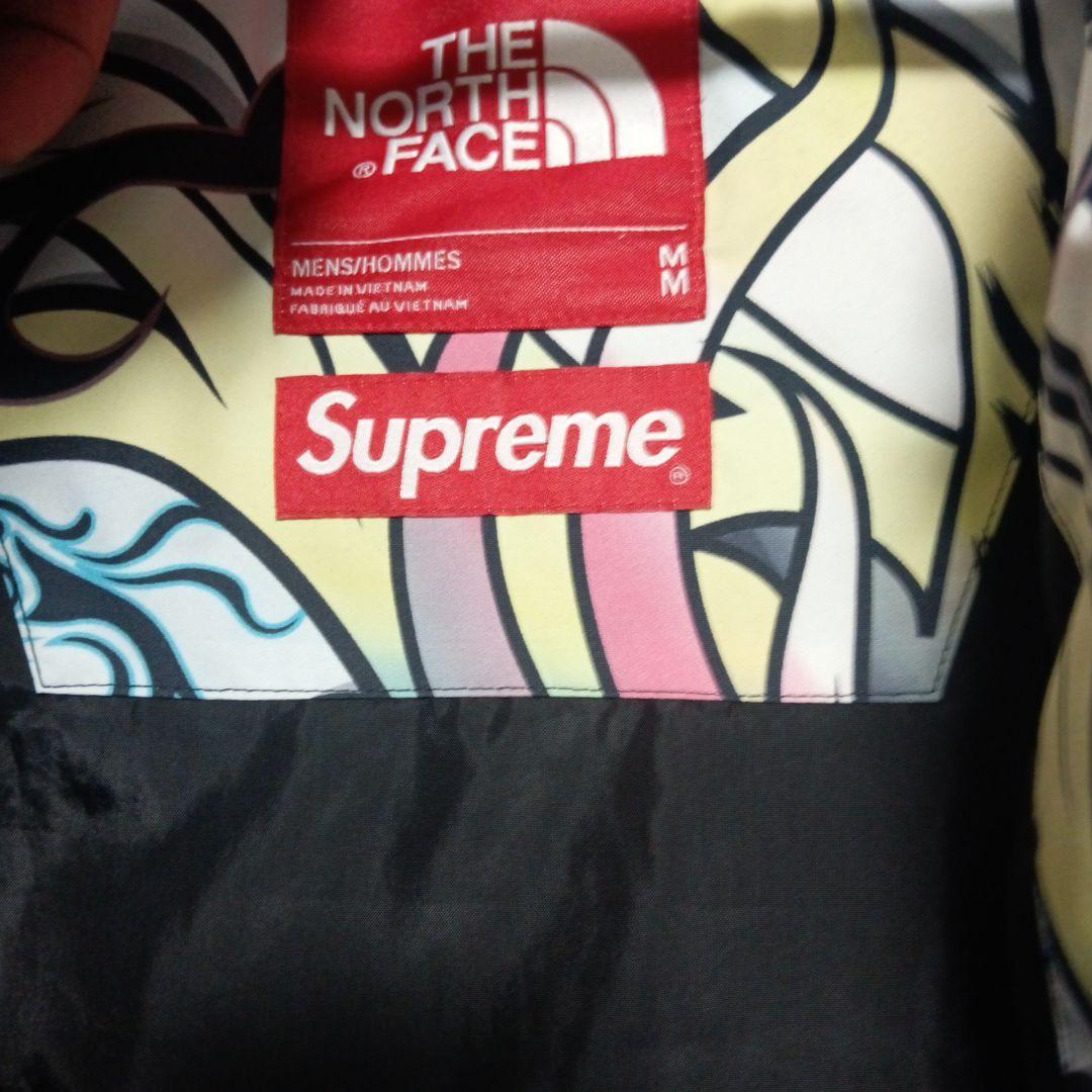 THE NORTH FACE STEEP TECH × Supreme