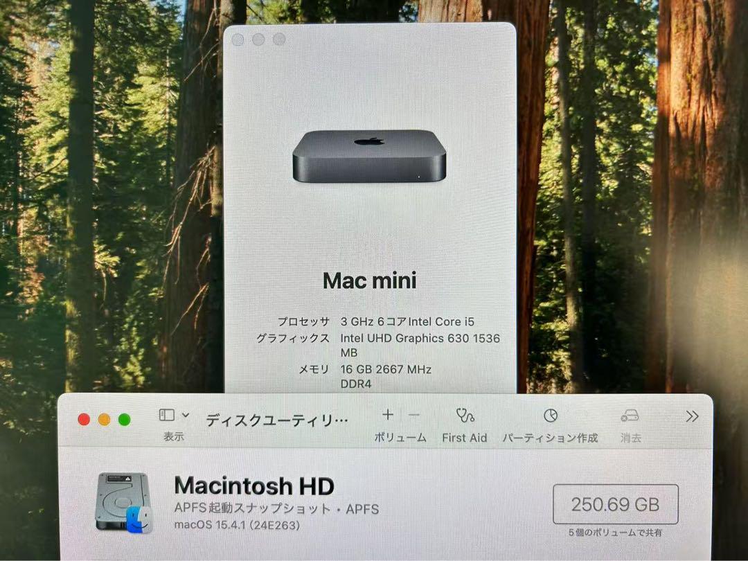 Apple Mac mini スペースグレー 2018 i5 16G 250G