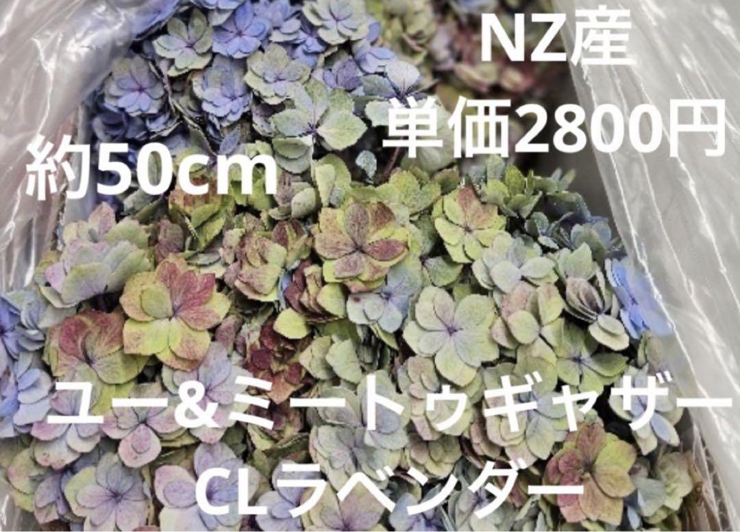 Sakku様専用ページ