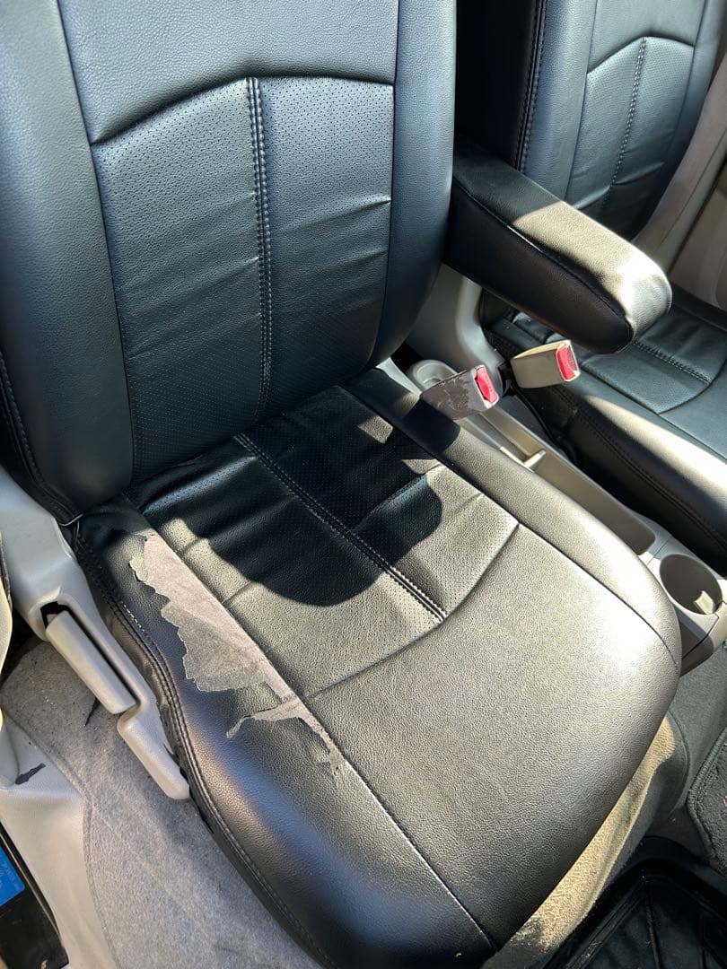 ９月やや傷や汚れあり