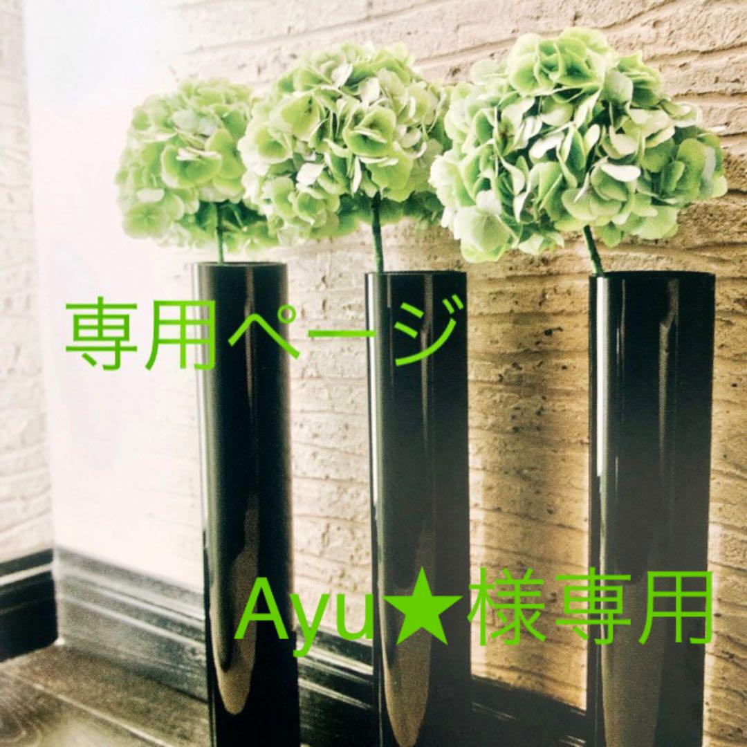 Ayu 様専用です₊⁎⁺˳✧༚ 注文割引 Ayu 様専用です₊⁎⁺˳✧༚ 注文割引