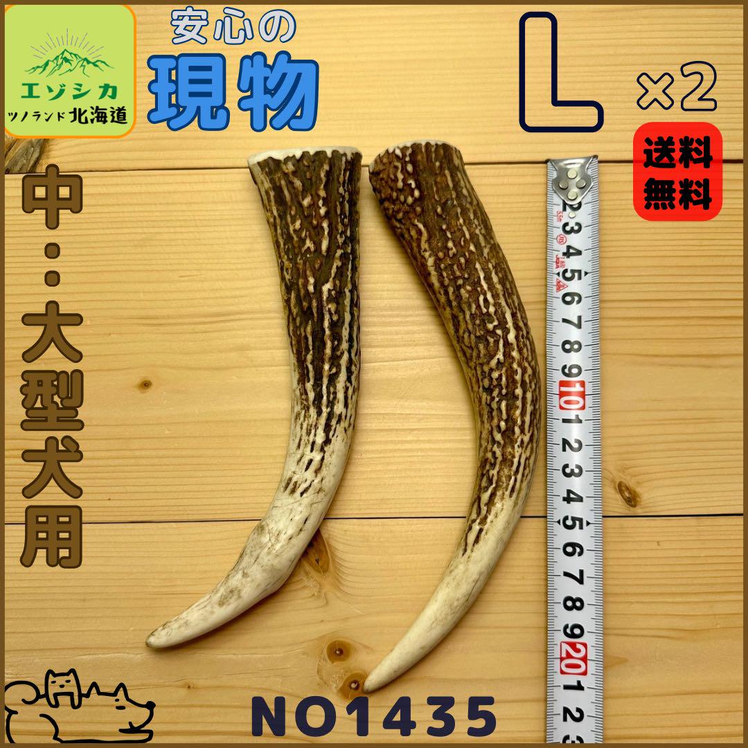 ⭐︎現物⭐︎鹿の角⭐︎L×2本セット⭐︎角先⭐︎犬のおもちゃ