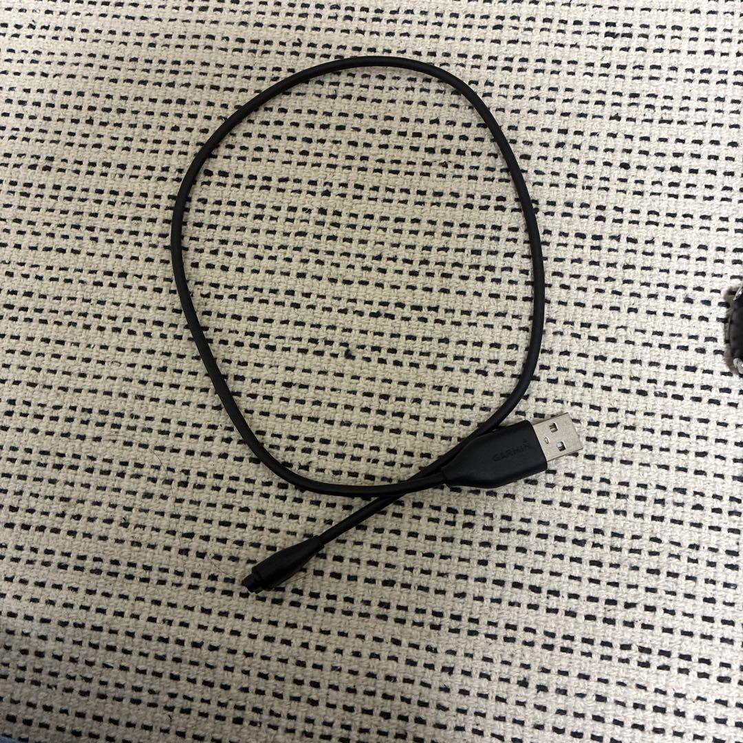 GARMIN ガーミン　245