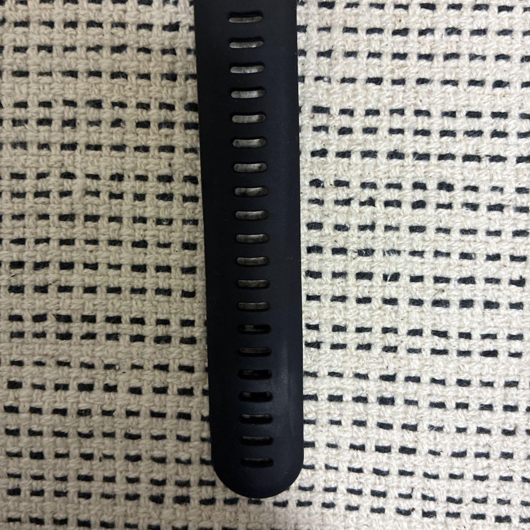 GARMIN ガーミン　245
