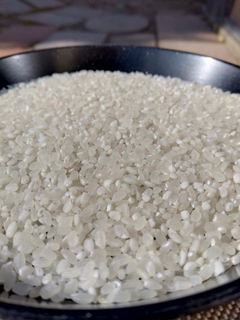 令和6年産　山形県産コシヒカリ　中米　10kg