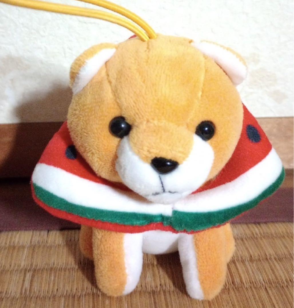 スイカマントのクマぬいぐるみ