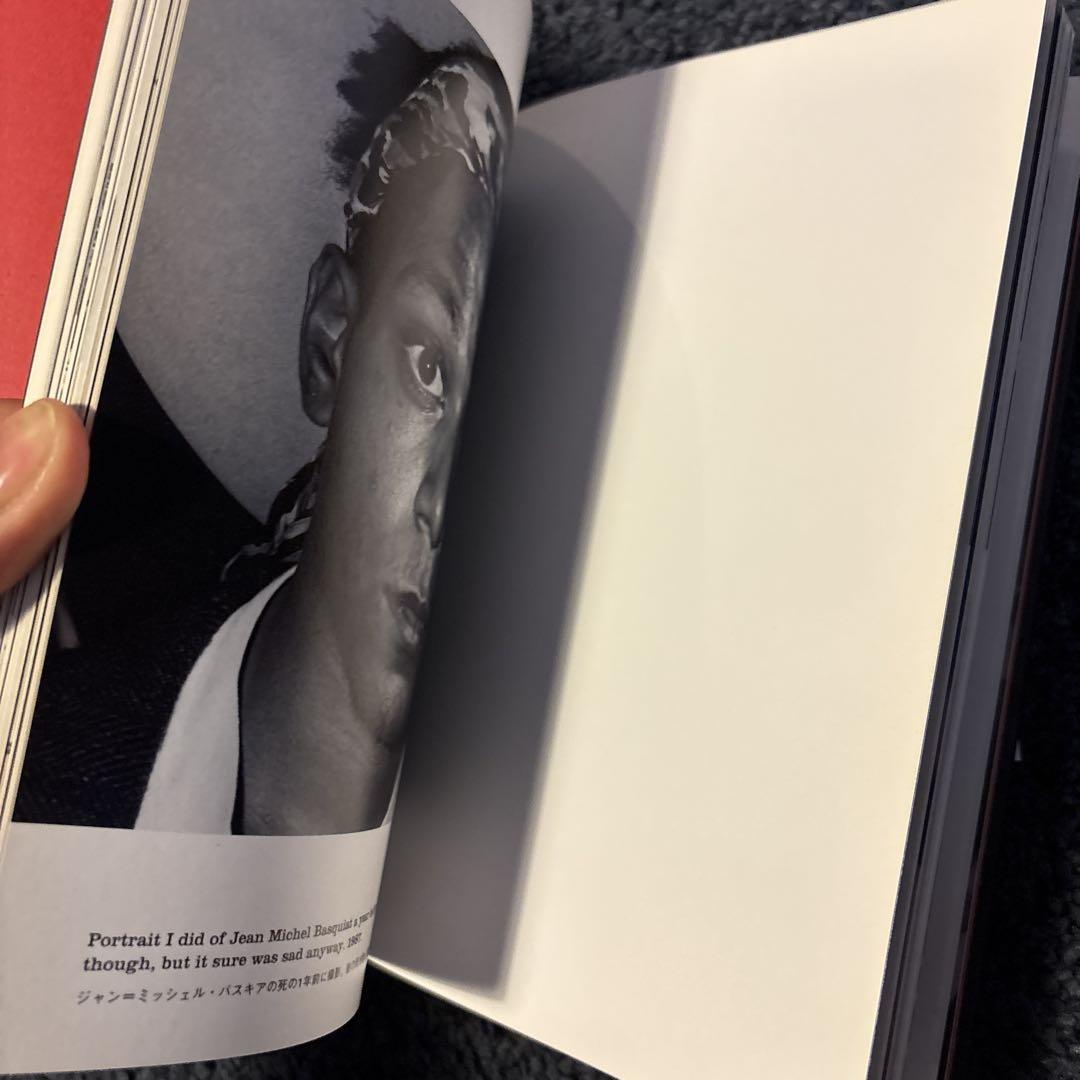 【ヴィンセント・ギャロBOOK】付属品あり、綺麗