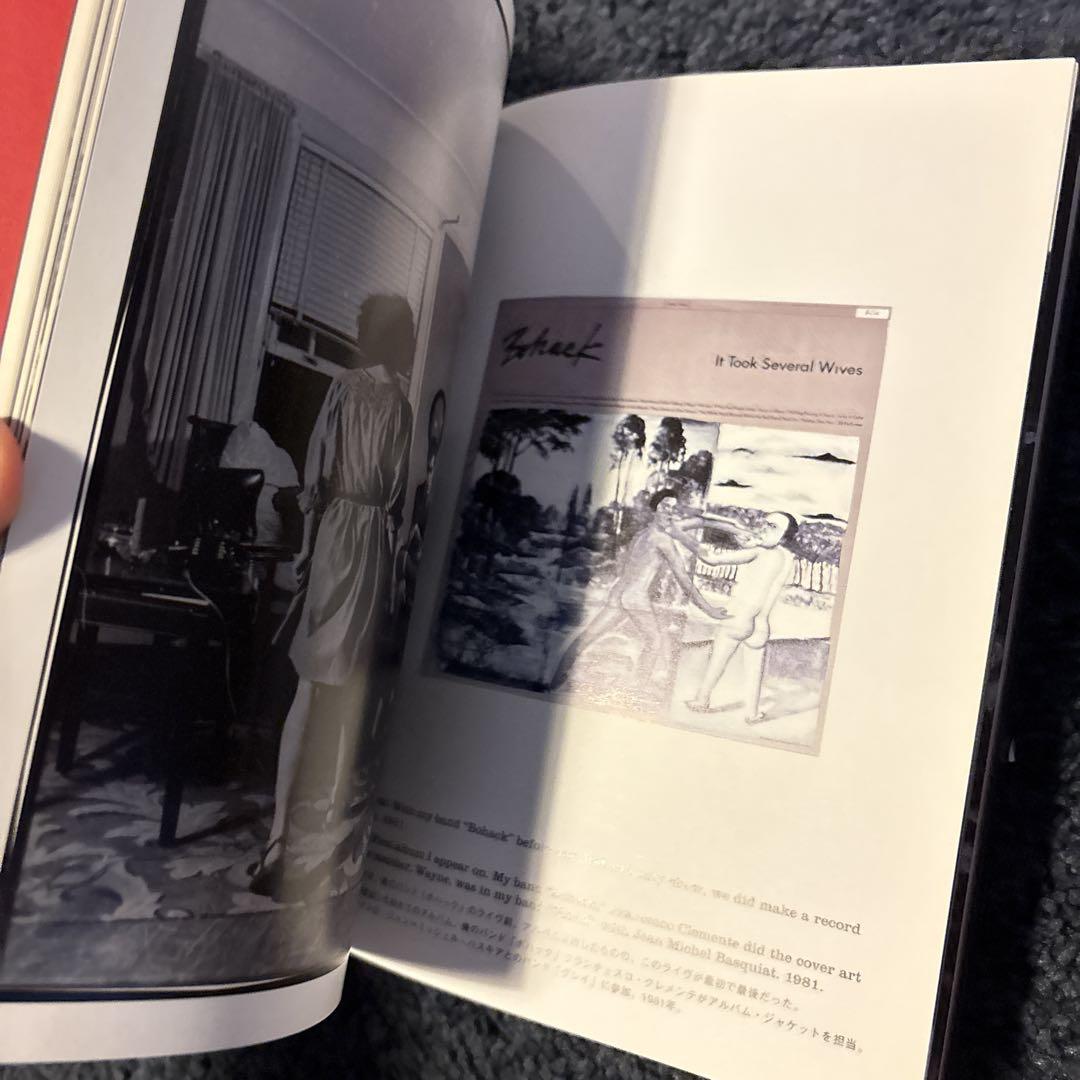 【ヴィンセント・ギャロBOOK】付属品あり、綺麗