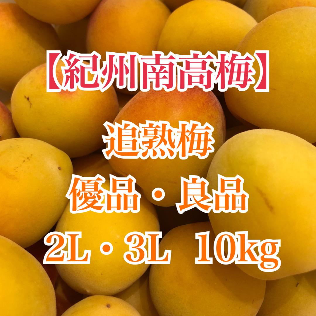 紀州南高梅　追熟梅　優品・良品　2L・3L　10kg　送料込み