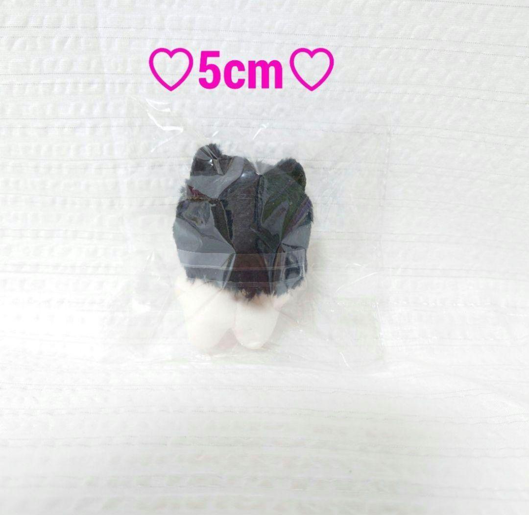 BTS ぬいぐるみ 5cm Jimin ジミン ジン ユンギ ジョングク テテ BTS ぬいぐるみ 5cm Jimin ジミン ジン ユンギ ジョングク テテ