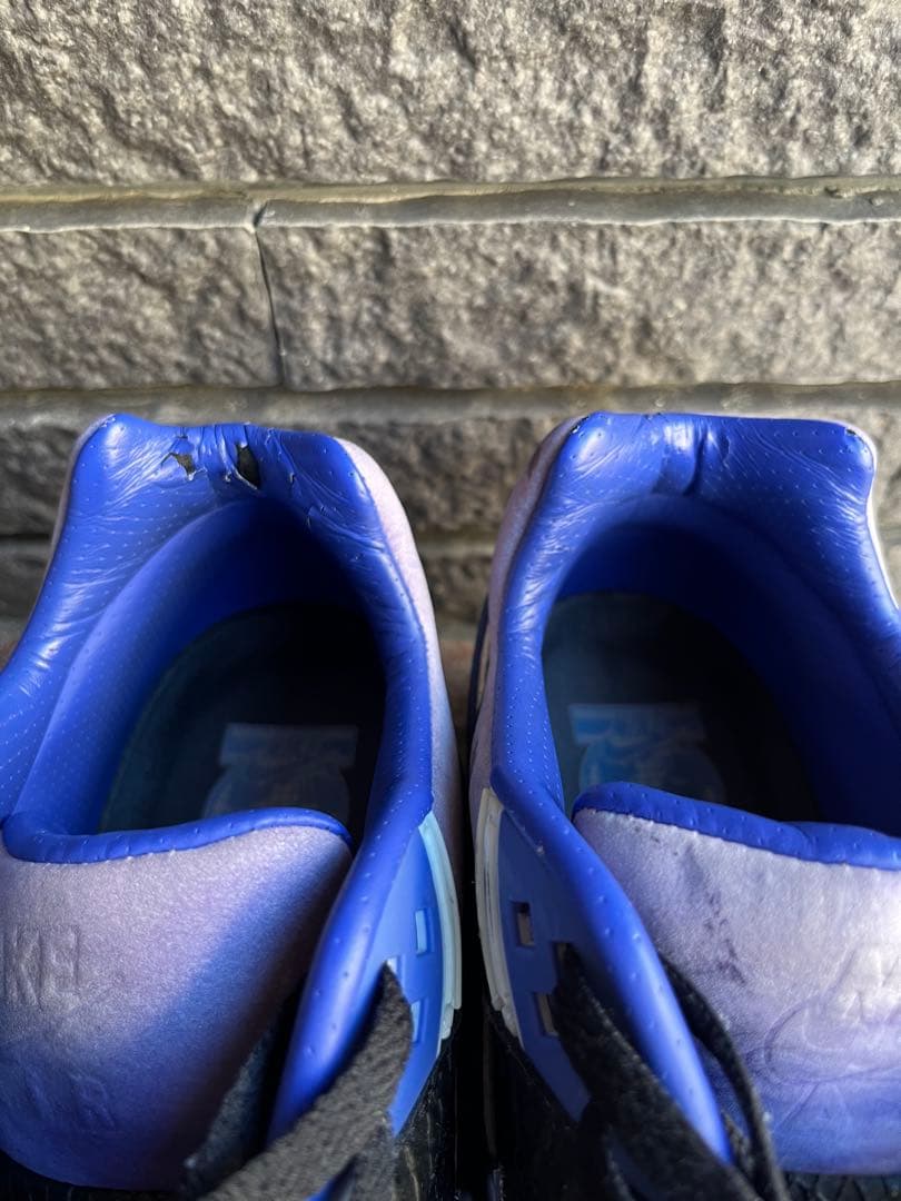 【希少品】NIKE AIR MAX BW PREMIUM 29.0cm US11