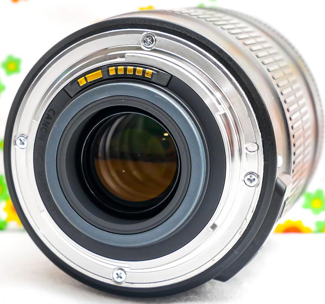 キャノン Canon EF-S 18-135mm☆高倍率レンズ☆広域レンズ！
