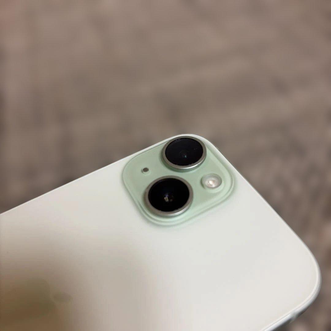 256G グリーンApple