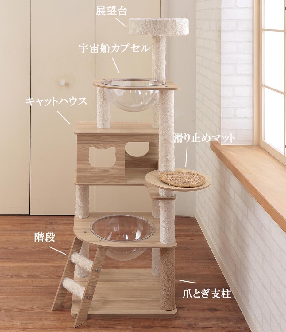 スリム 多頭飼い