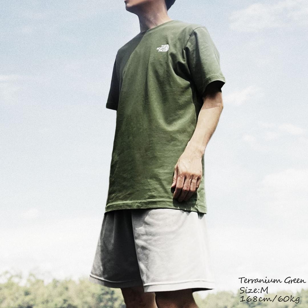 ノースフェイス Tシャツ メンズ 海外L 日本XL相当 グリーン 新品 box