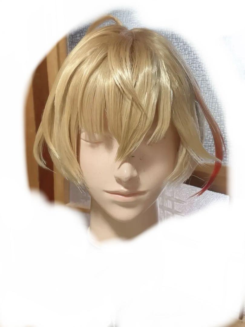にじさんじ　風楽奏斗　コスプレ　ウィッグ