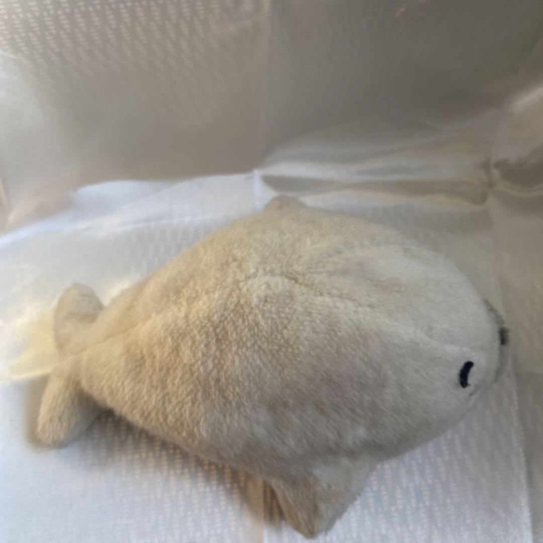少年アシベ　タカラ　ごまちゃん　アザラシ ぬいぐるみ