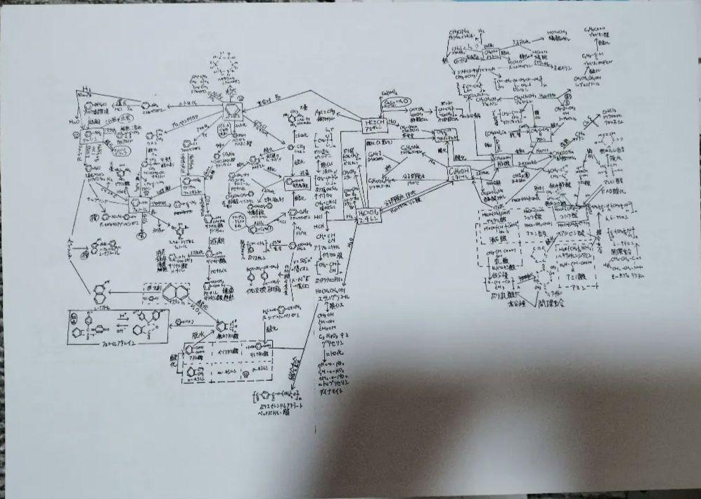 東北大 理系 赤本 25年分(2024〜1999) +3回分 +α