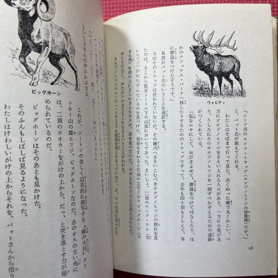 【絶版希少】野生動物をもとめて テレビ取材班とともに　 実吉達郎