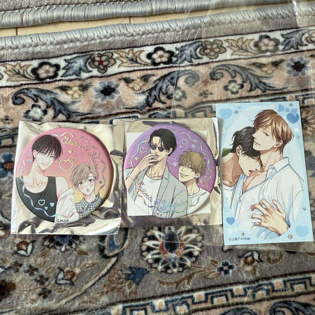 ひなこ ジュエリー缶バッジ 12点 drap オンリーショップ drap25周年記念展アニメイトオンリーショップ ひなこ鉢野うら