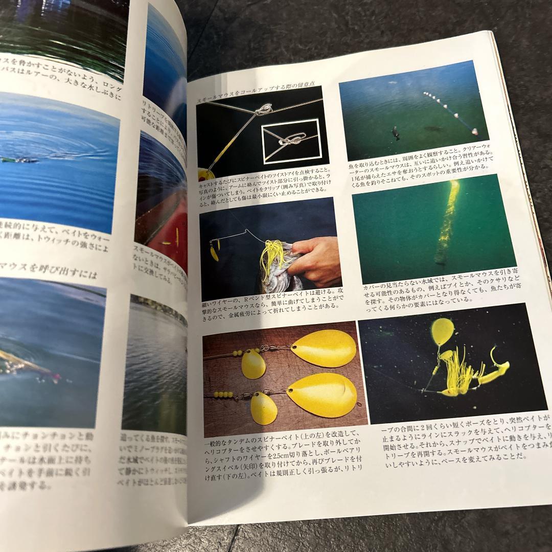 バスフィッシング 上級者への道 バスプロに教わるフィッシング