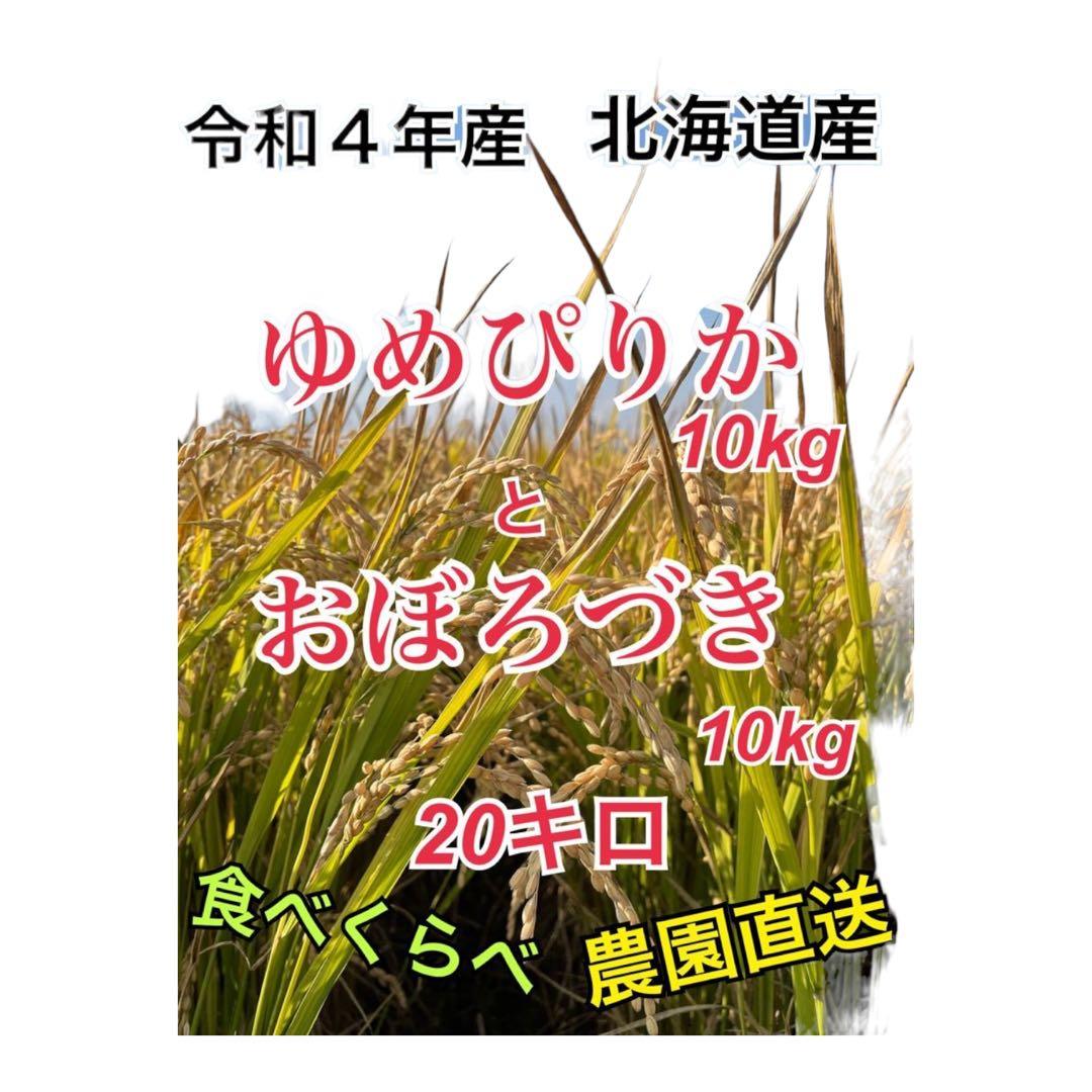 令和4年産 ゆめぴりか 10キロ おぼろづき 10キロ 合計20キロ 農園直送