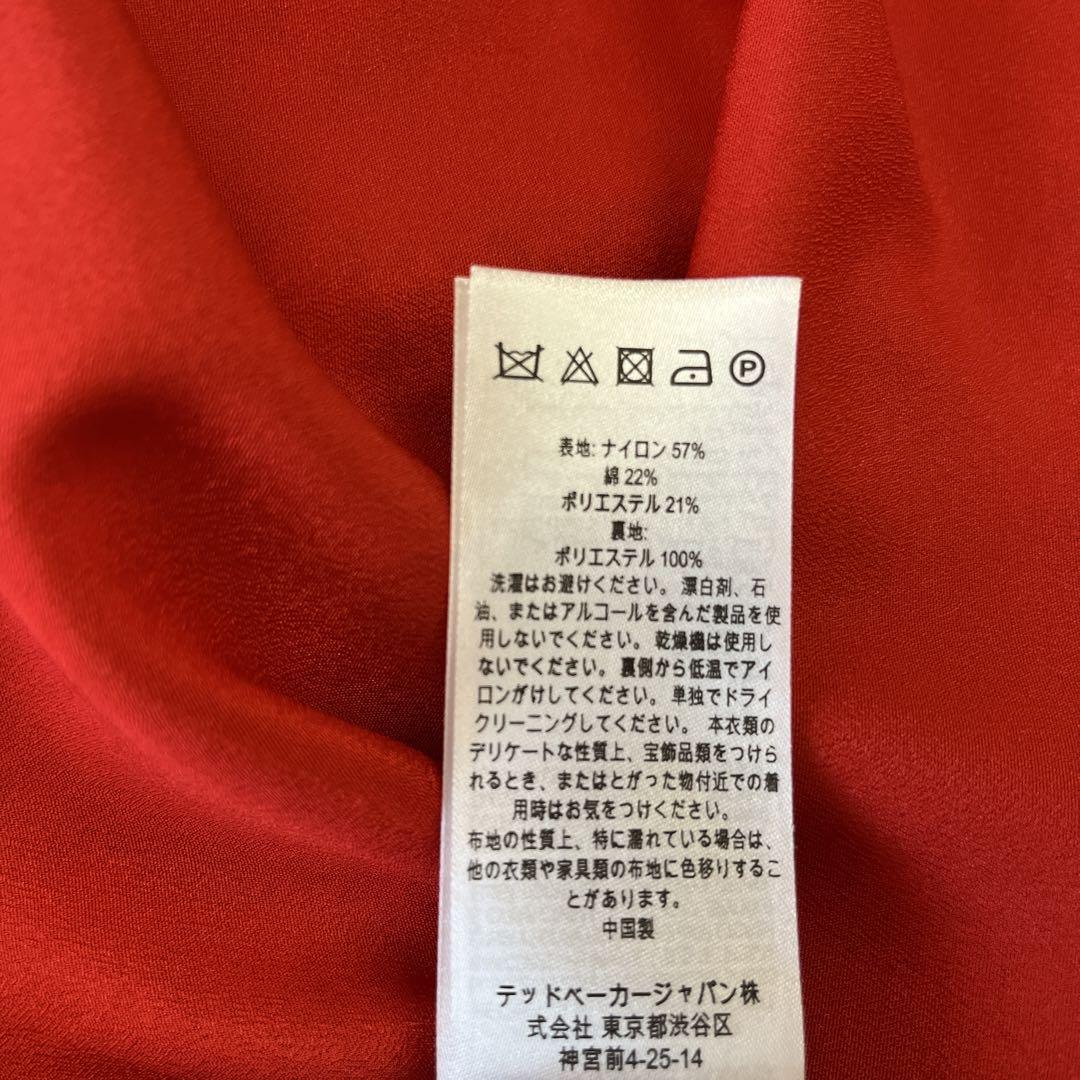 着画あり TED