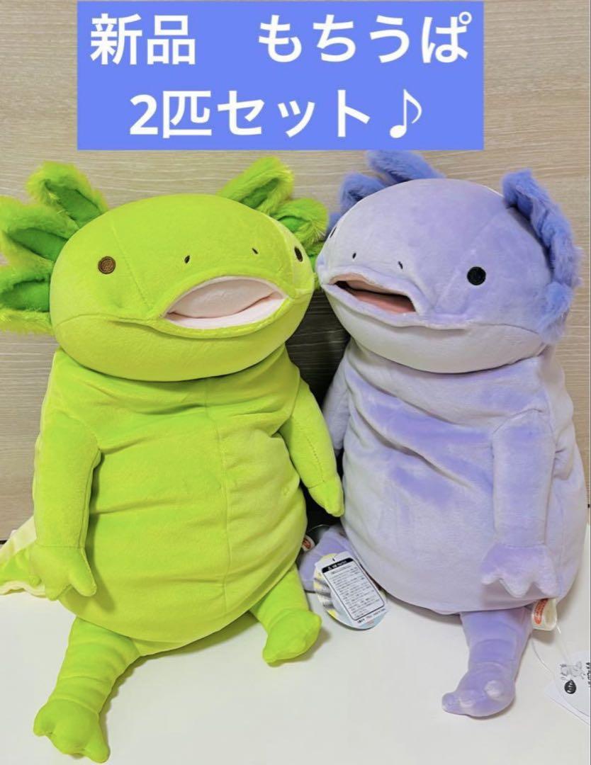 もちシリーズ　ウーパールーパーLサイズ　確認用
