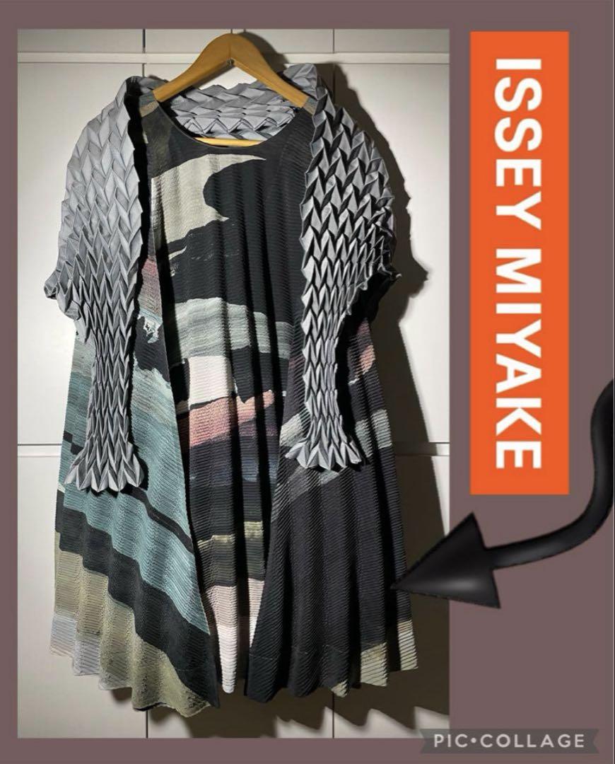 イッセイミヤケ ３Ｄ パノラマ スチーム系プリーツ ISSEY MIYAKE
