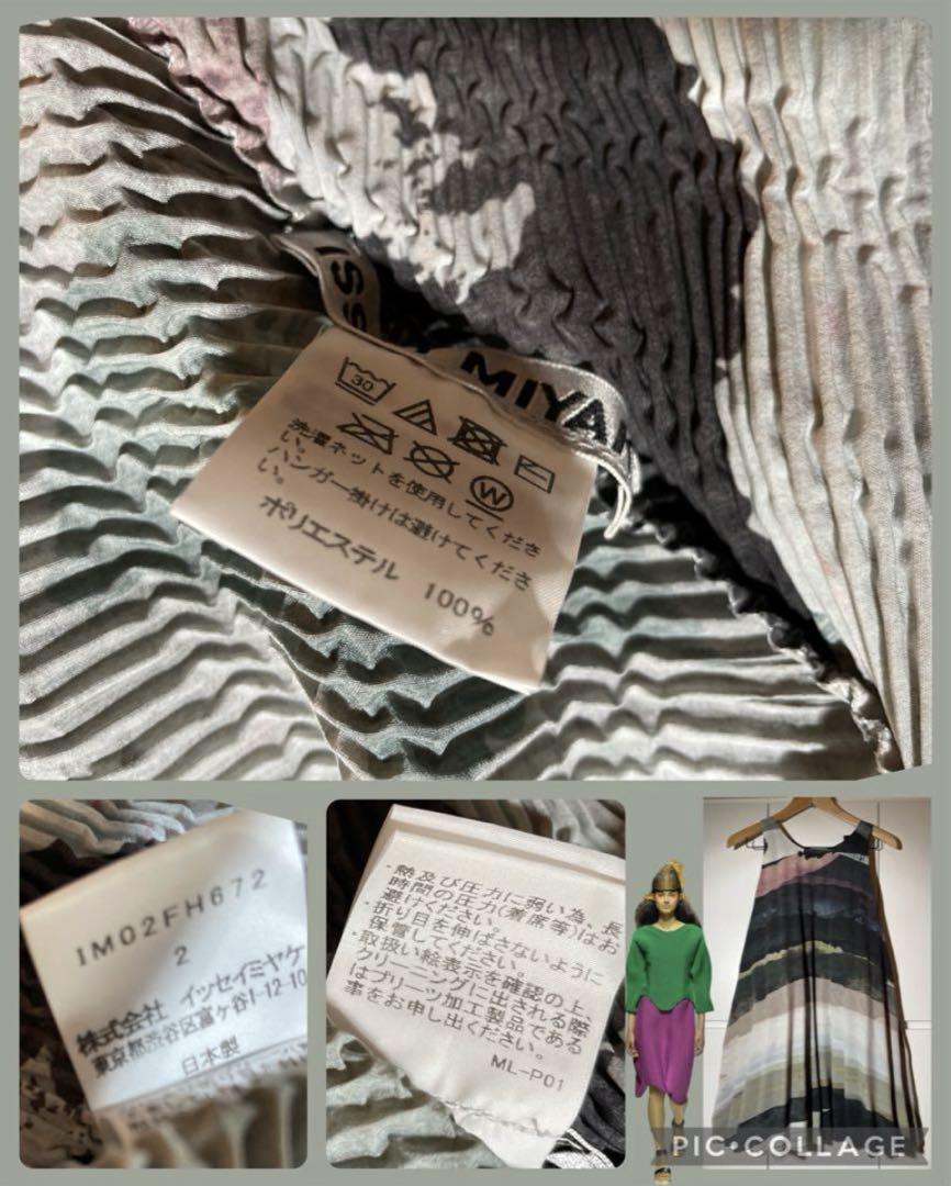 イッセイミヤケ ３Ｄ パノラマ スチーム系プリーツ ISSEY MIYAKE