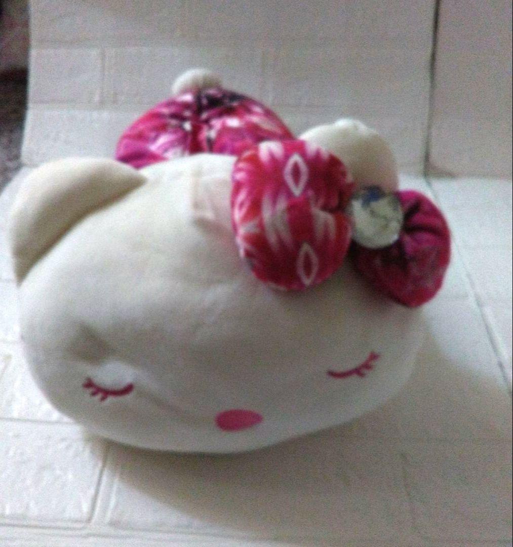 rady✕ハローキティ ティッシュケース とぬいぐるみ 抱き枕