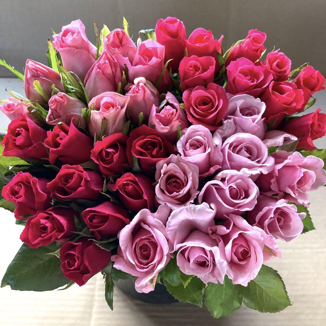 薔薇生花 るっち様専用 - インテリア 薔薇生花 るっち様専用 - インテリア