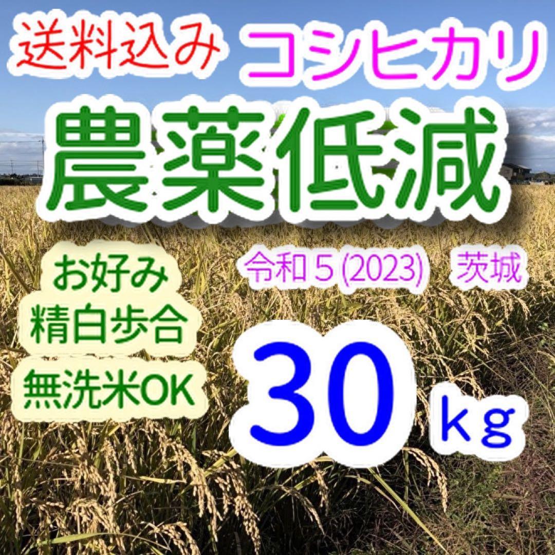 農薬低減 コシヒカリ 30kg 令和5年(2023) 茨城 おこめ 白米/玄米