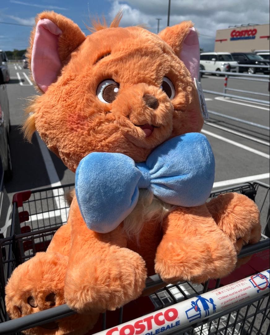 アウトレット 新品タグ付き　トゥルーズ　ぬいぐるみ　ブランケット 付き　コストコ