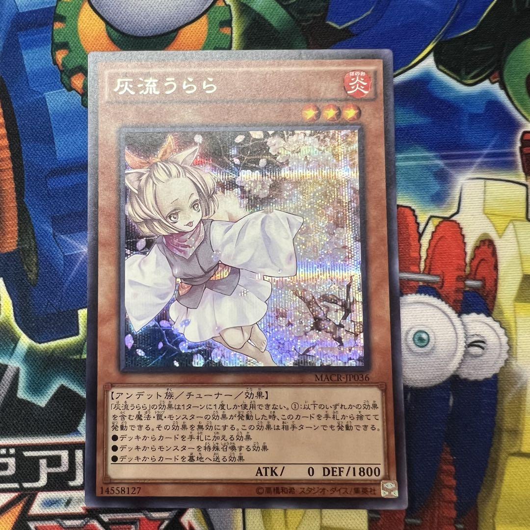 灰流うらら(MACR) | シークレット | ドラゴンスター | 遊戯王