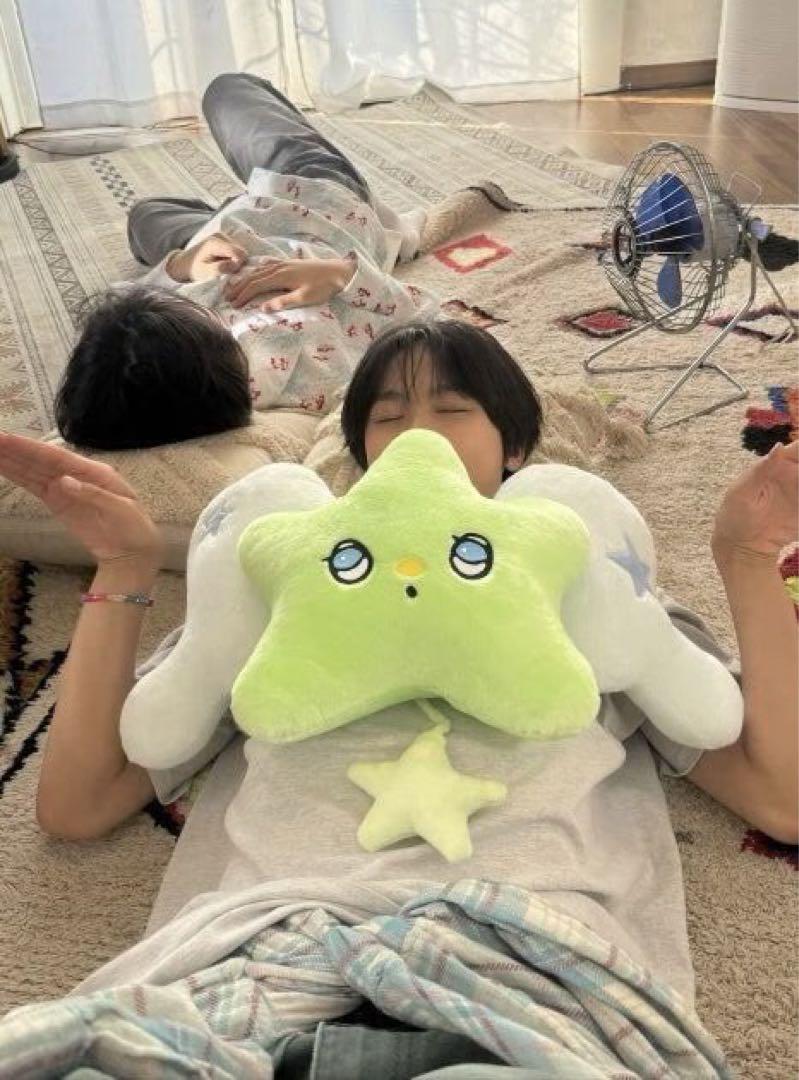 WICHU CUSHION シオンver 最終値下げ WICHU CUSHION シオンver 最終値下げ