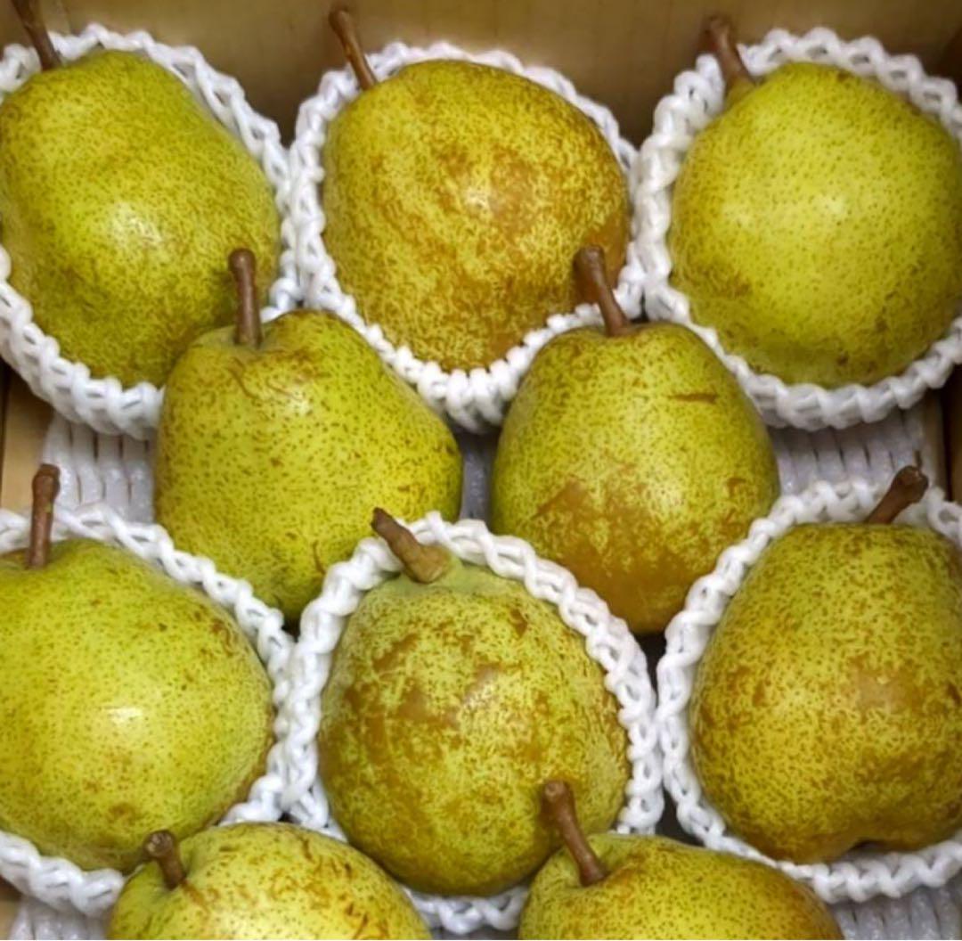 n. kayoko減農薬栽ラフランス❣️3L玉贈答　3k箱二箱