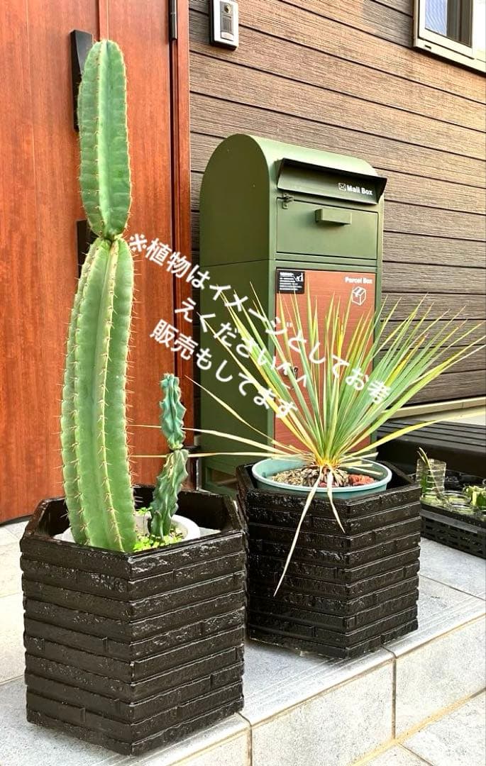 【多面角GAIHEKIプランター】 ②個セット❣️ 【多面角GAIHEKIプランター】 ②個セット❣️