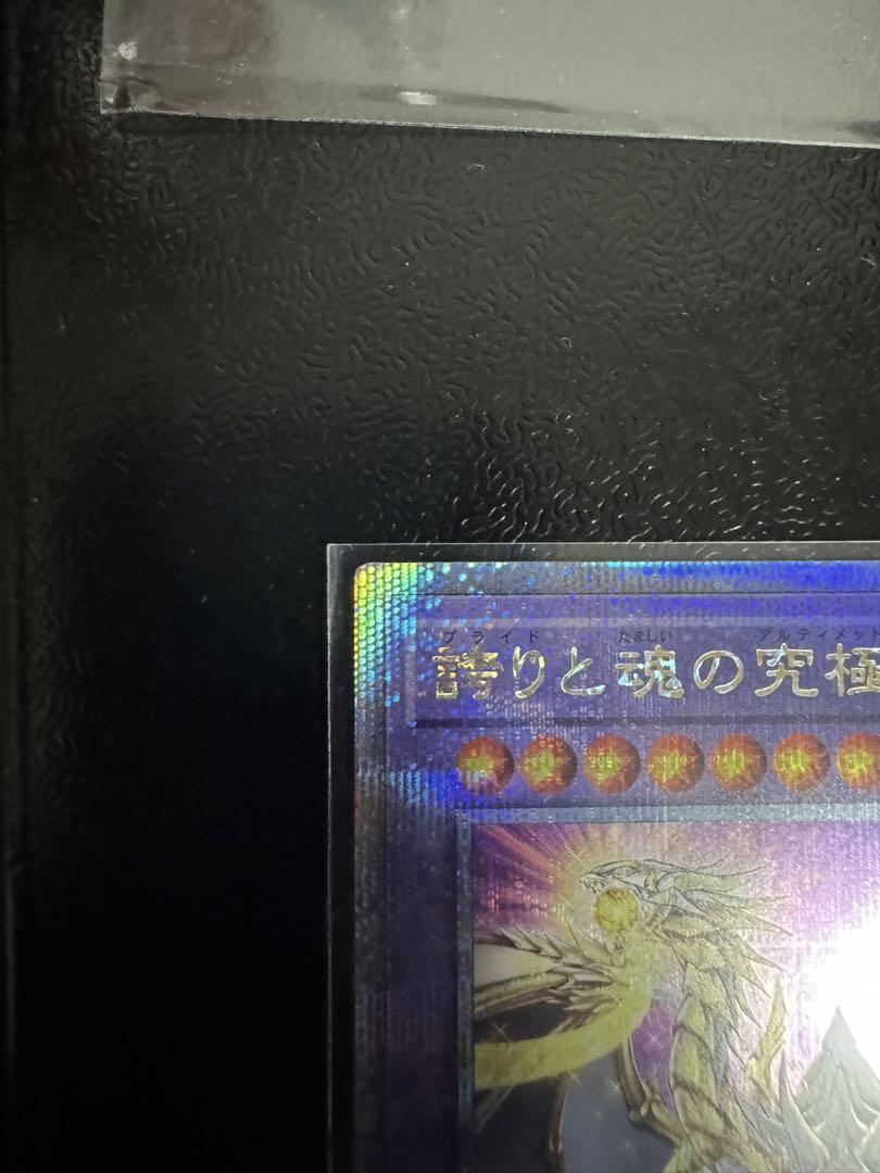 誇りと魂の究極竜　25th