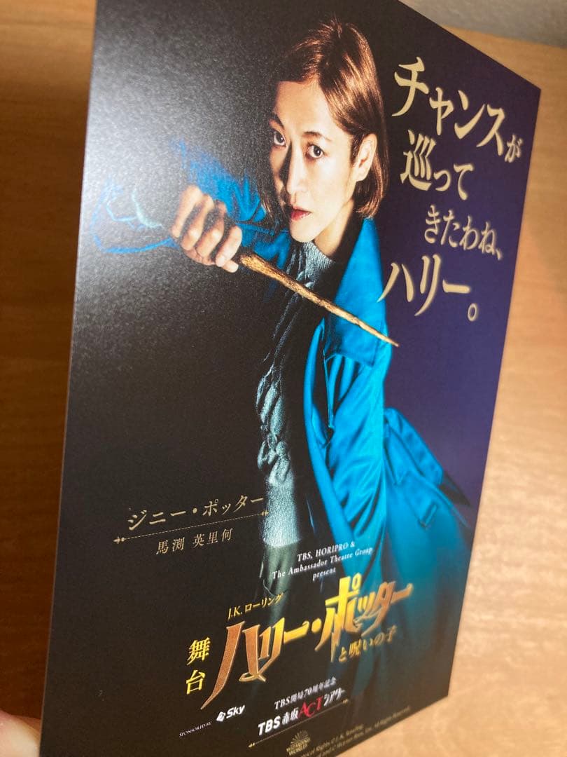 シルバーグレー サイズ 【非売品】舞台ハリーポッター 向井理 馬渕