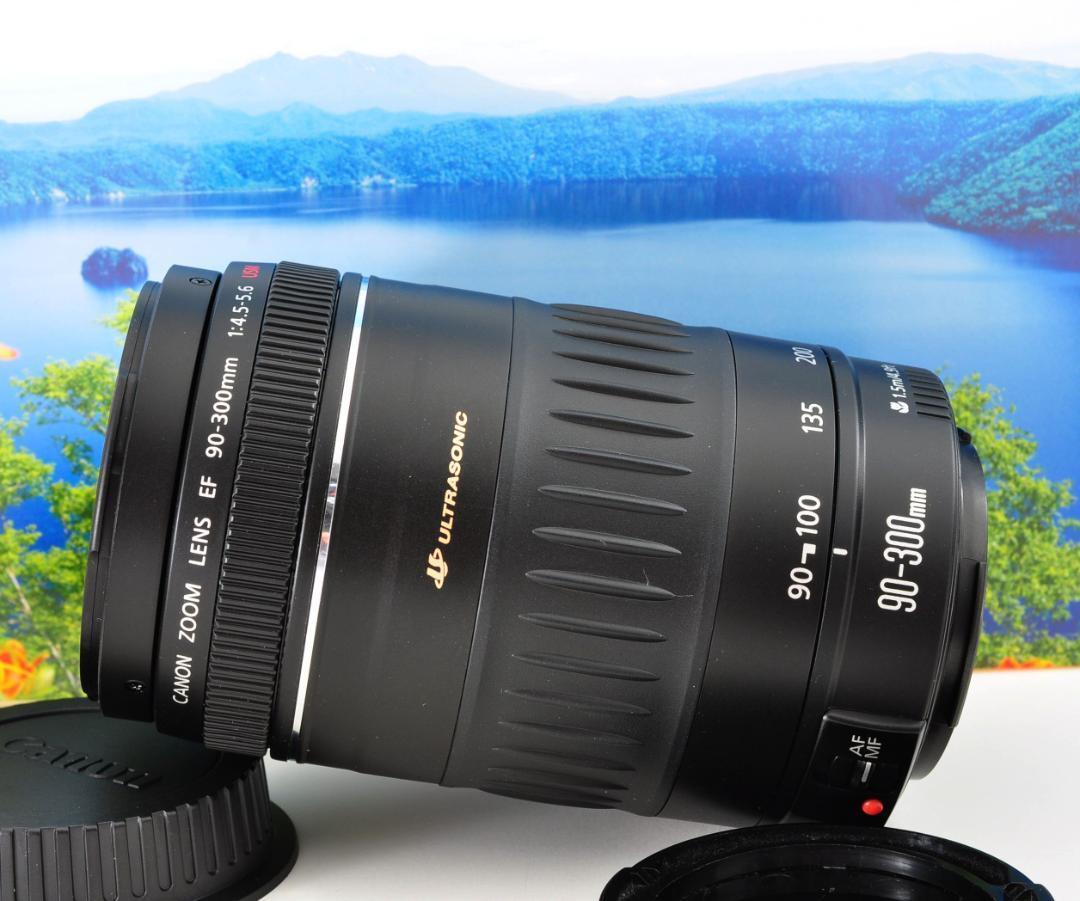 Canon キヤノン 望遠レンズ 90-300mm 一枚の写真から！#3（CANON