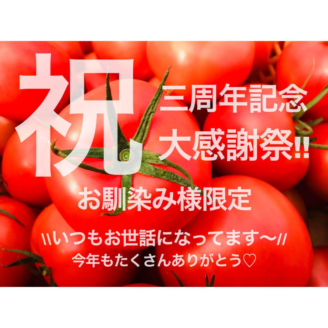 要望・ご質問等はコメント欄をご利用下さい