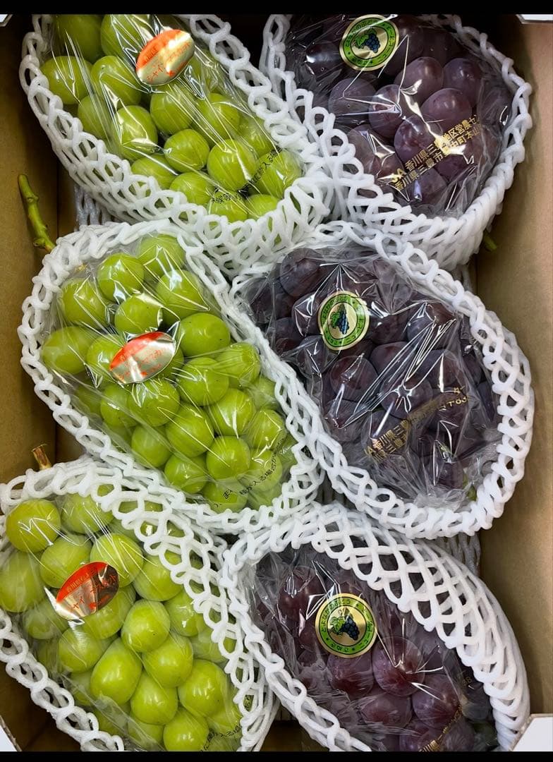 朝採れシャインマスカット、ピオーネ