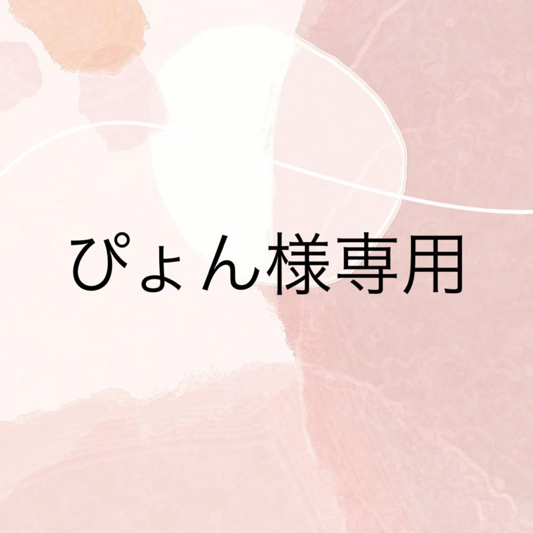ぴょん様専用