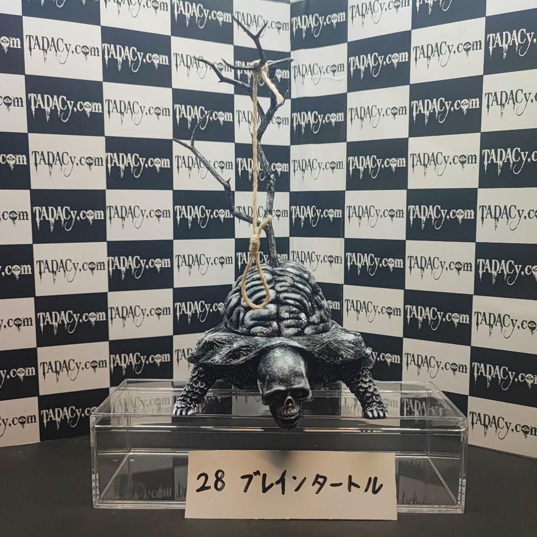 28ブレインタートル