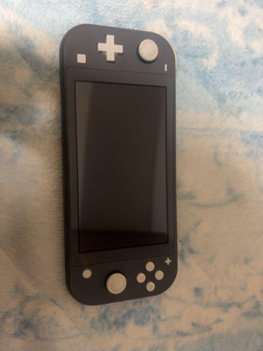 Nintendo Switch NINTENDO SWITCH LITE グレー - 家庭用ゲーム