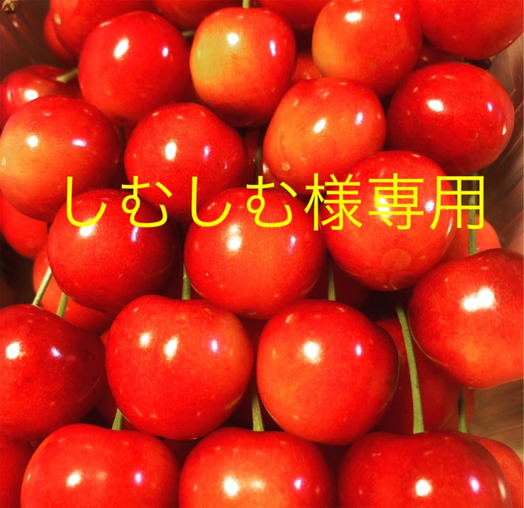 売りオーダー しむしむ様専用 ネット通販サイト Agilliev Az
