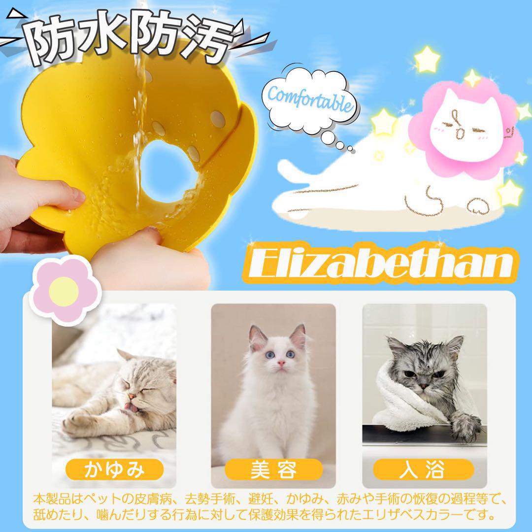 エリザベス