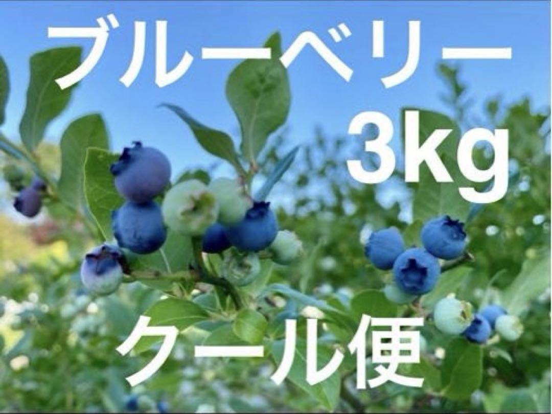 秋田県産ブルーベリー　3Kg クール便