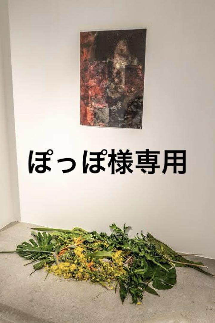 ぽっぽ様専用